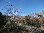 ntrada Ilice-20091230 042